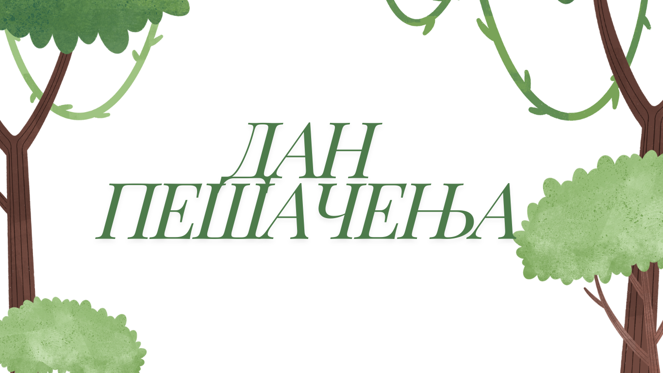 ДАН ПАШАЧЕЊА